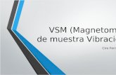 VSM (Magnetometr­a de Muestra Vibracional)