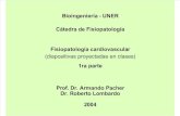FISIOPATOLOGIA CARDIO-1.pp Fisiopatologia Cardio 1