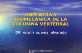 Anatom­a y Biomecnica de La Columna Vertebral Unfsc