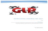 Inyeccion Liquida de Glp