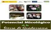 Análisis potencial micológico sierra guadarrama