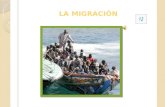 La MigraCion(:*