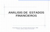 Temas No 2- Analisis Financiero