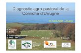Diagnostic agro-pastoral de la Corniche dâ€™Urrugnegis-id64.org/wp-content/uploads/2018/05/5.2.8.pdfآ 