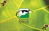 Proyectos Fundaci³n Natura Colombia