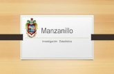 Manzanillo final