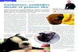 Mascotas El rincأ³n del veterinario Cachorros: cuidados ...veterinario- cachorro hasta los seis meses