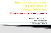 Staphylococcus aureus resistente a Vancomicina: Una amenaza en puerta?