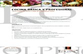 COCINA BأپSICA Y PROFESIONAL - Kolping ... COCINA BأپSICA Y PROFESIONAL Uruguay INSTITUTO Curso Prأ،ctico