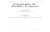 Pymes Exitosas