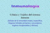1 C©lulas y Tejidos del sistema Inmune (C©lulas de la inmunidad innata y espec­fica; “rganos linfoides primarios y secundarios; ³rganos encapsulados y