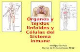 “rganos y tejidos linfoides y C©lulas del Sistema inmune