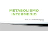METABOLISMO INTERMEDIO