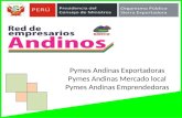 Pymes  Andinas Exportadoras Pymes Andinas Mercado local Pymes Andinas Emprendedoras