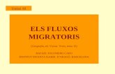 Tema 10. Els fluxos migratoris (GEOGRAFIA 2n BATXILLERAT)