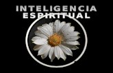 La inteligencia espiritual est por encima de la inteligencia operativa, la que nos permite resolver problemas mediante el razonamiento l³gico e incluso