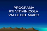 PROGRAMA PTI VITIVINICOLA VALLE DEL MAIPO. PRIMERA PARTE: PRESENTACI“N