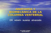 Anatom­a y Biomecnica de La Columna Vertebral Unfsc Ultimo
