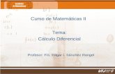 Matemticas IIF­s. Edgar I. Snchez Rangel Curso de Matemticas II Tema: Clculo Diferencial Profesor: F­s. Edgar I. Snchez Rangel