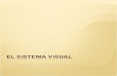 Users/Macbook/Desktop/El Sistema Visual