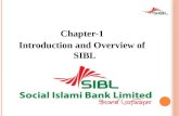 Presentation about SIBL