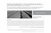 Estudios de adaptación y manejo integrado de no.1... AlFreDo JArMA-oroZCo1 Estudios de adaptación y manejo integrado de estevia (Stevia rebaudiana Bert.): nueva alternativa agroindustrial